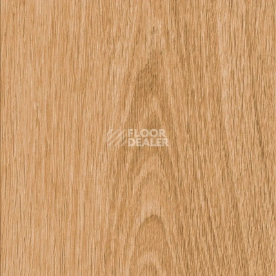 Кварцвиниловые полы AW Invictus Maximus Plank 2.5 мм Highland Oak Classic фото 1 | FLOORDEALER